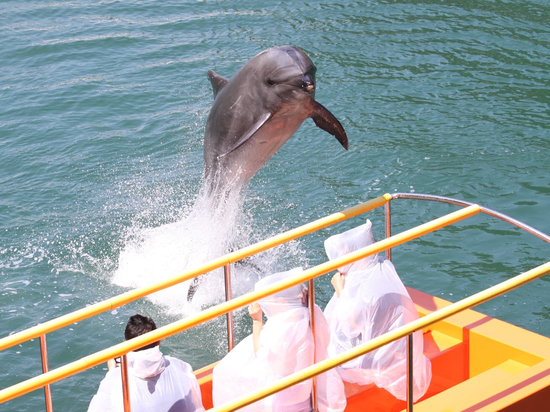 Shimoda Floating Aquarium