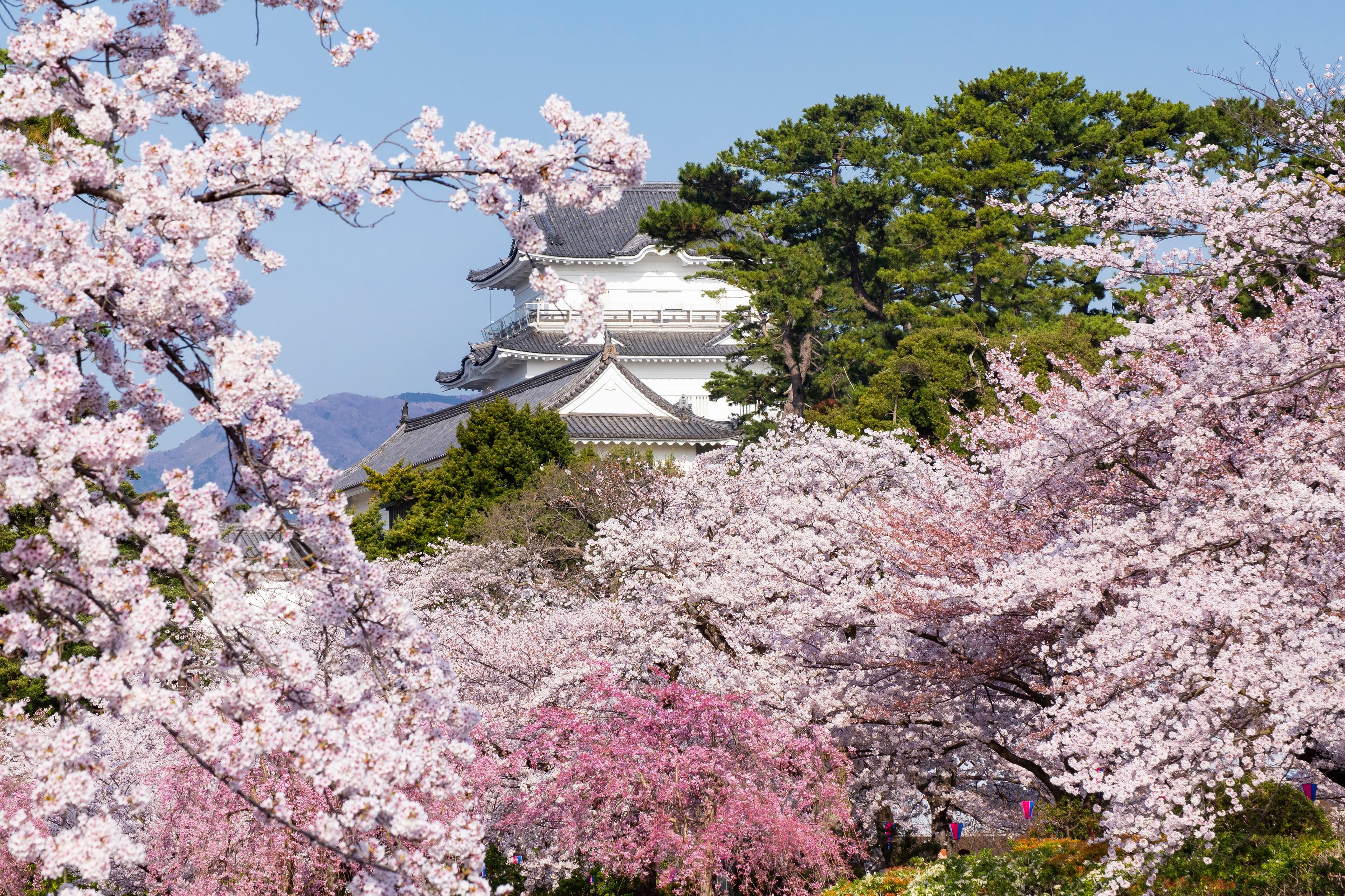 Odawara Castle