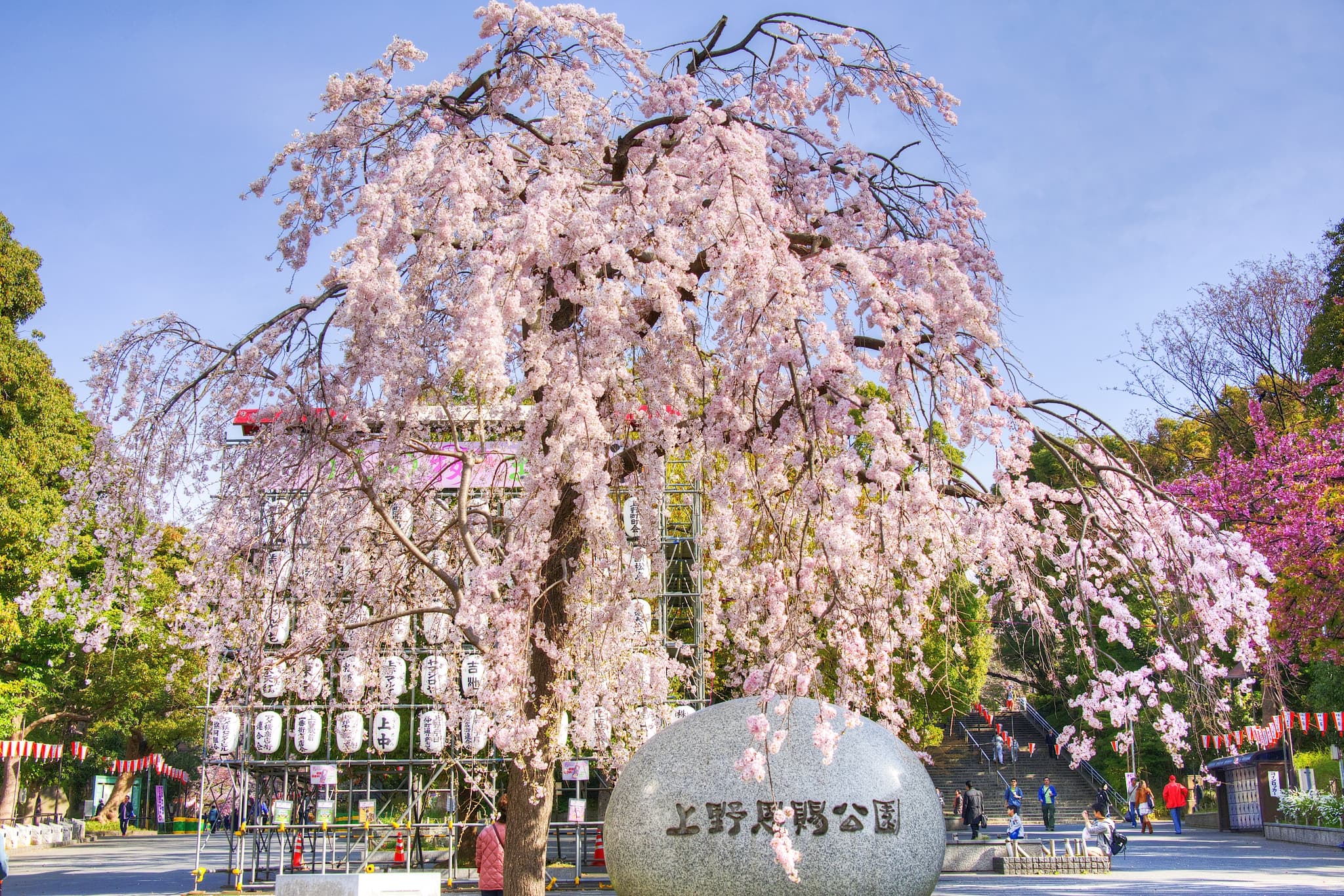 Ueno Park