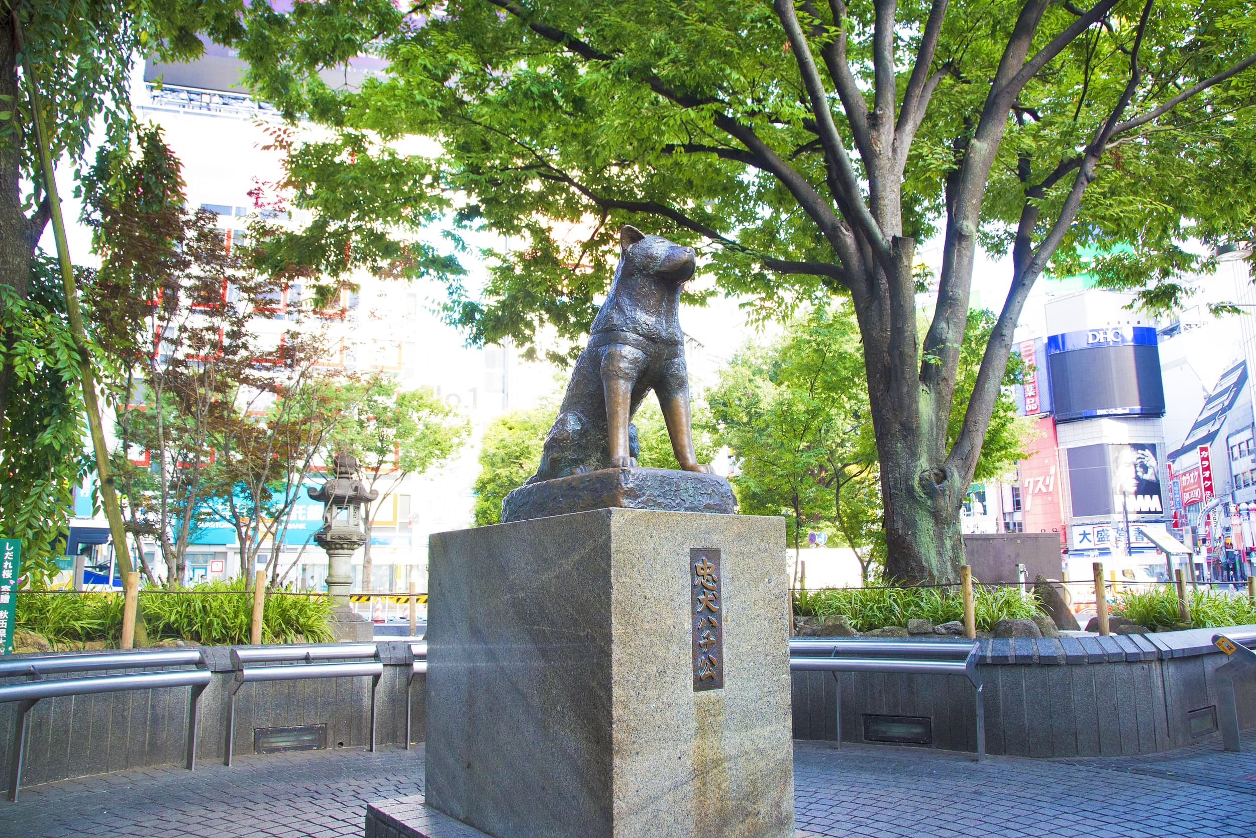 Hachikō Statue