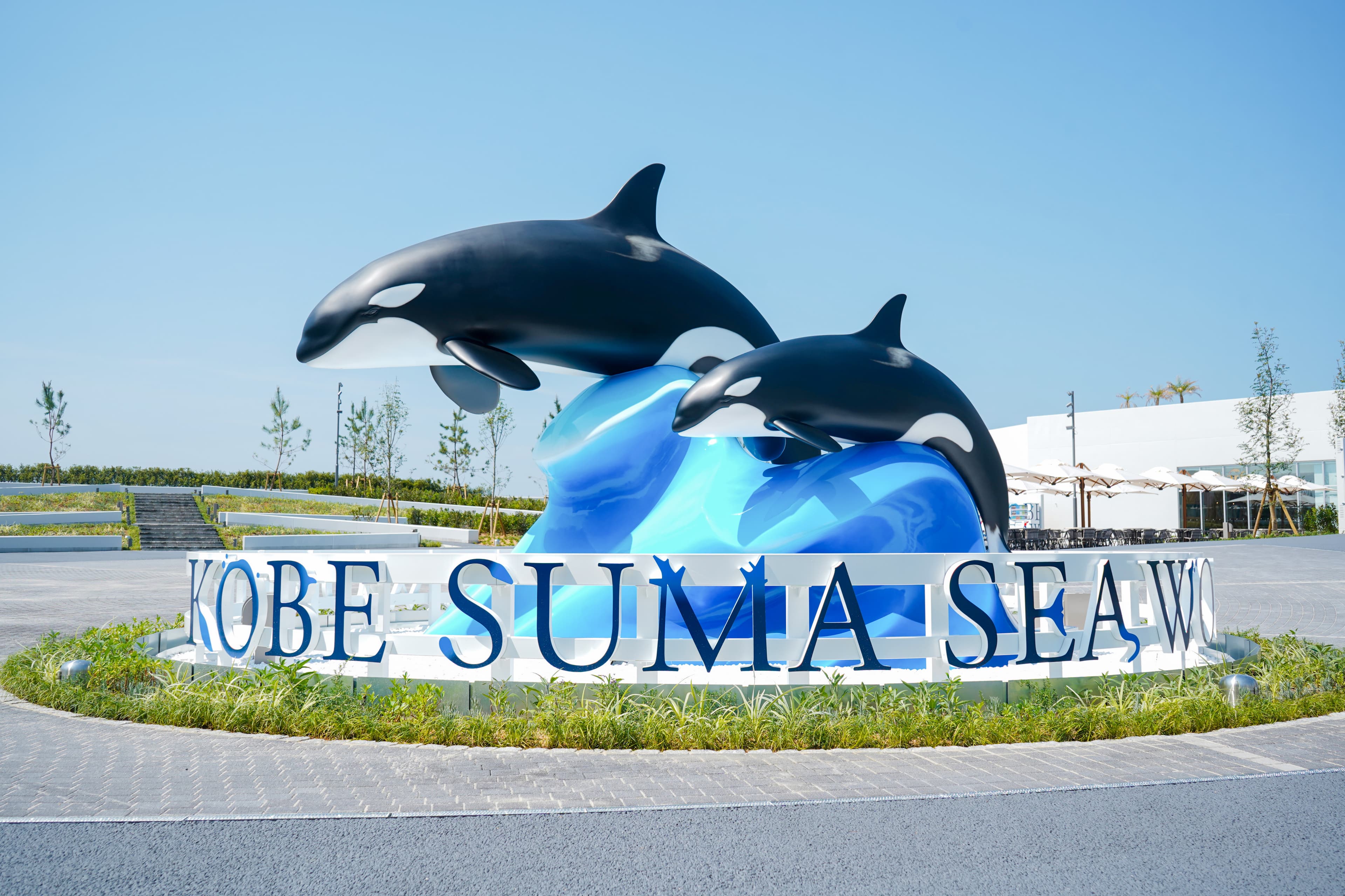 Kobe Suma Seaworld cover image