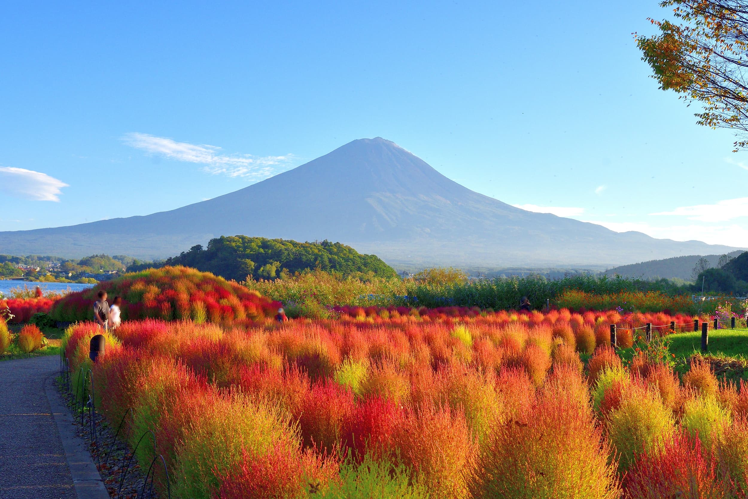 Oishi Park