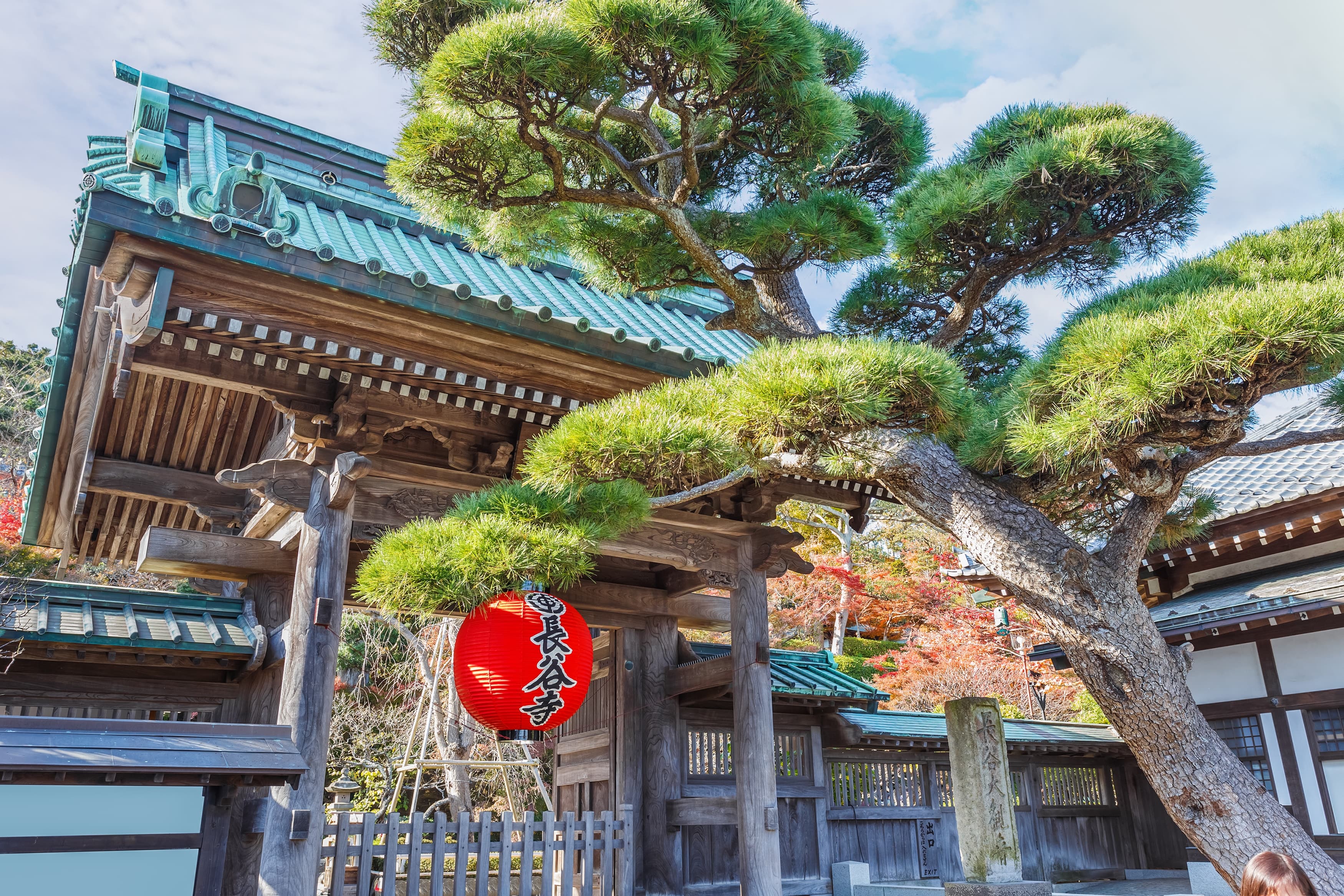 Hasedera