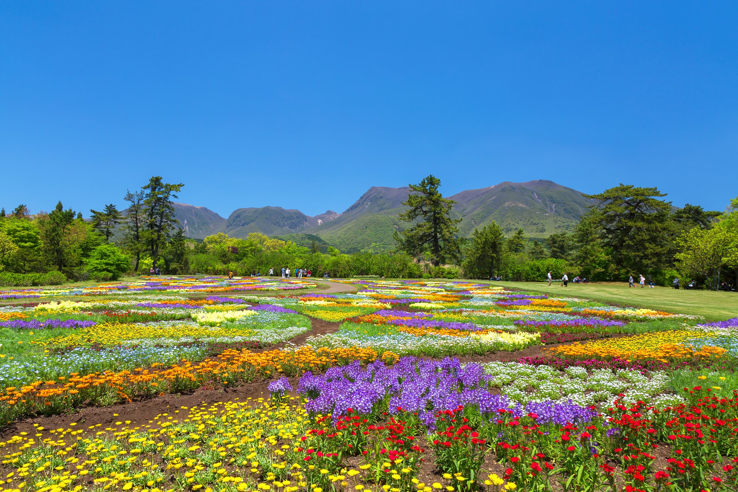 Kuju Flower Park