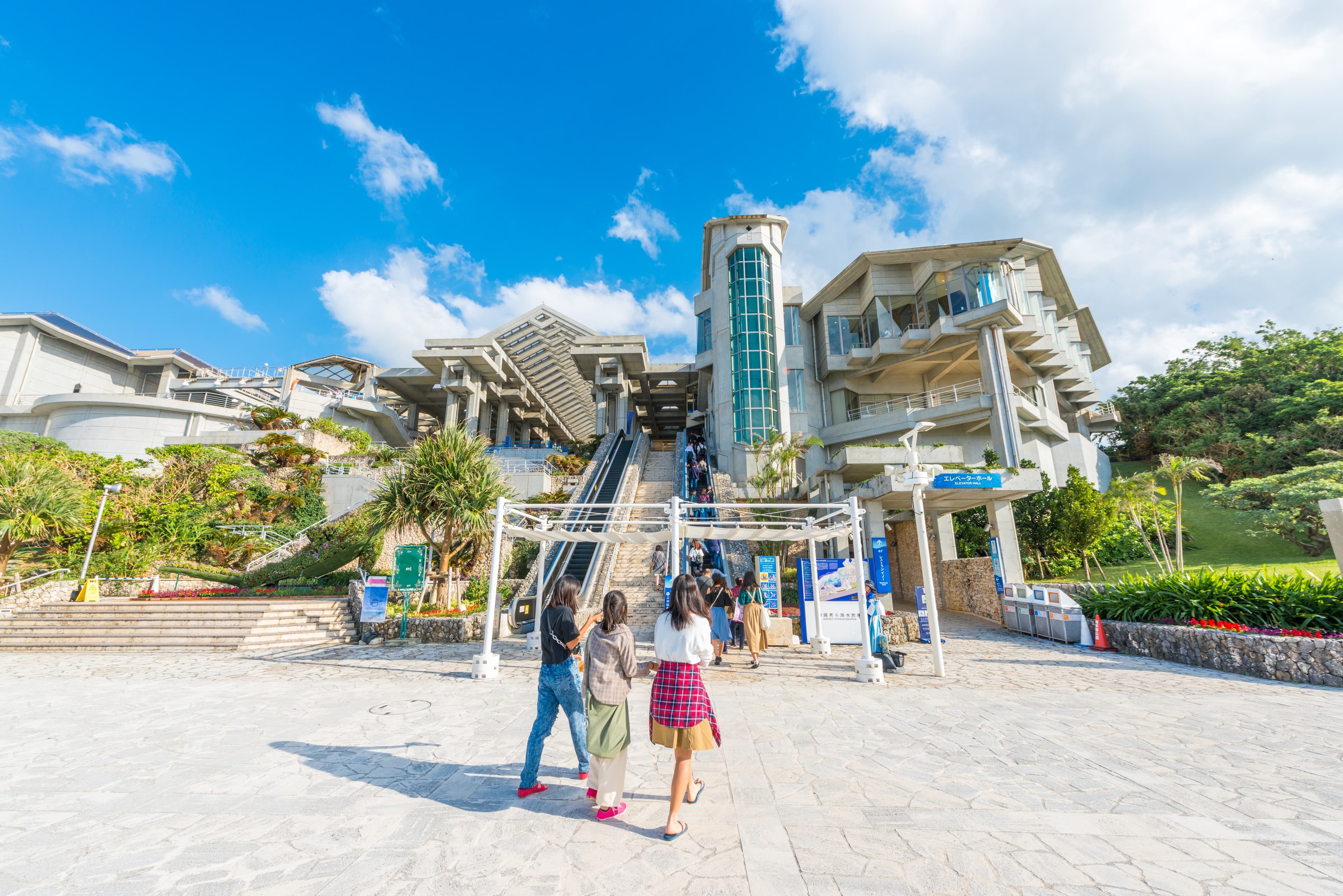 Ocean Expo Park cover image