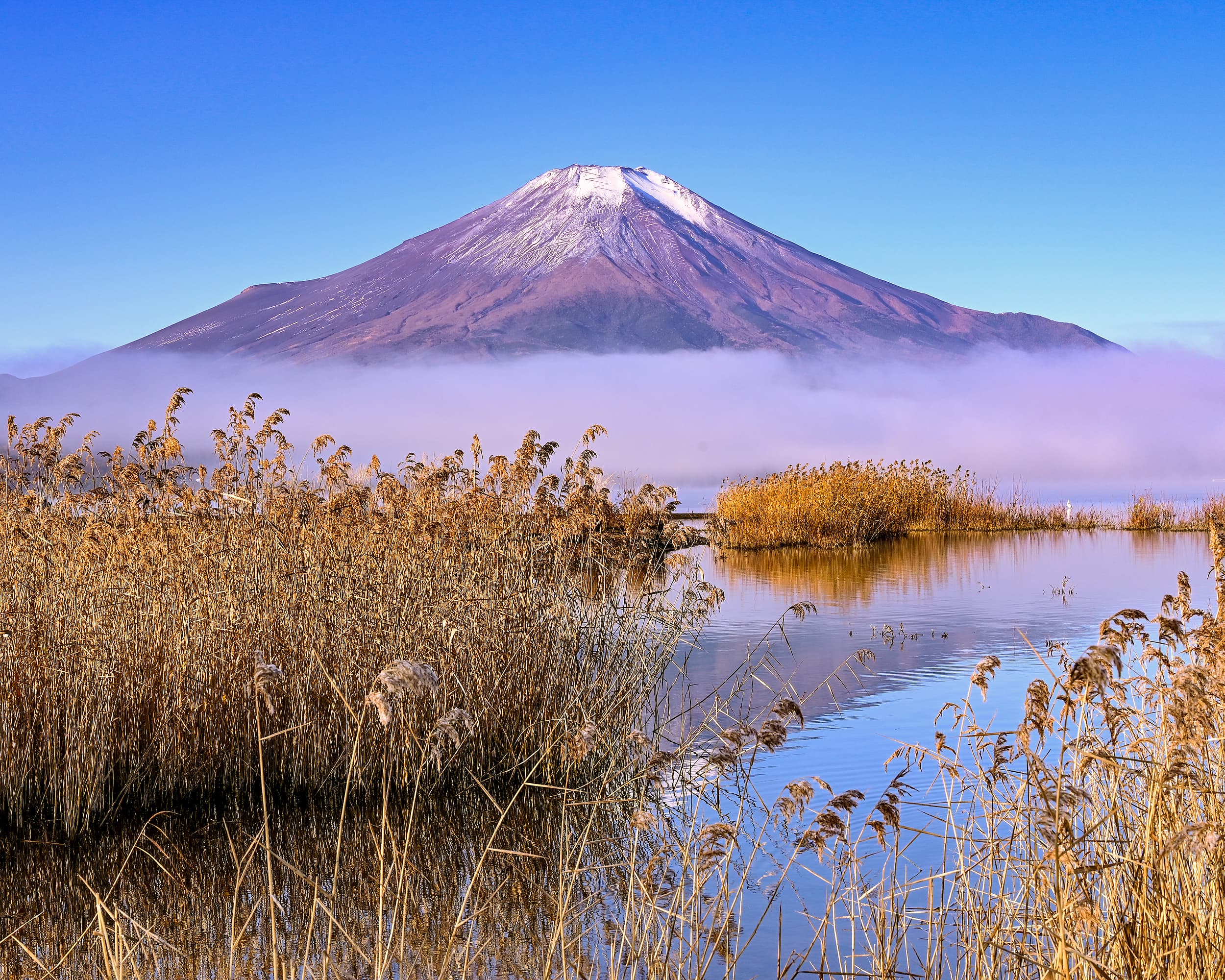 Lake Yamanaka cover image