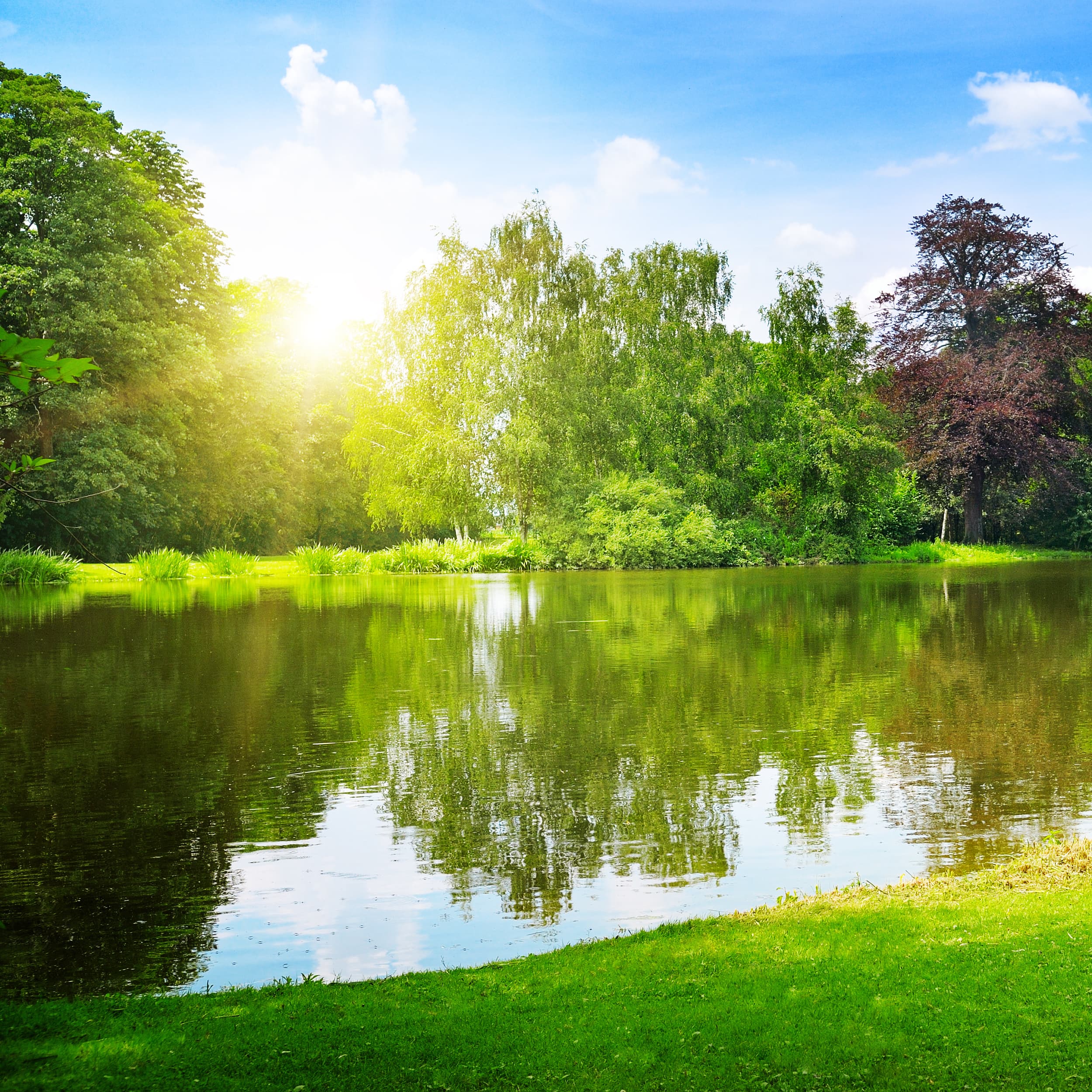 Mizumoto Park cover image