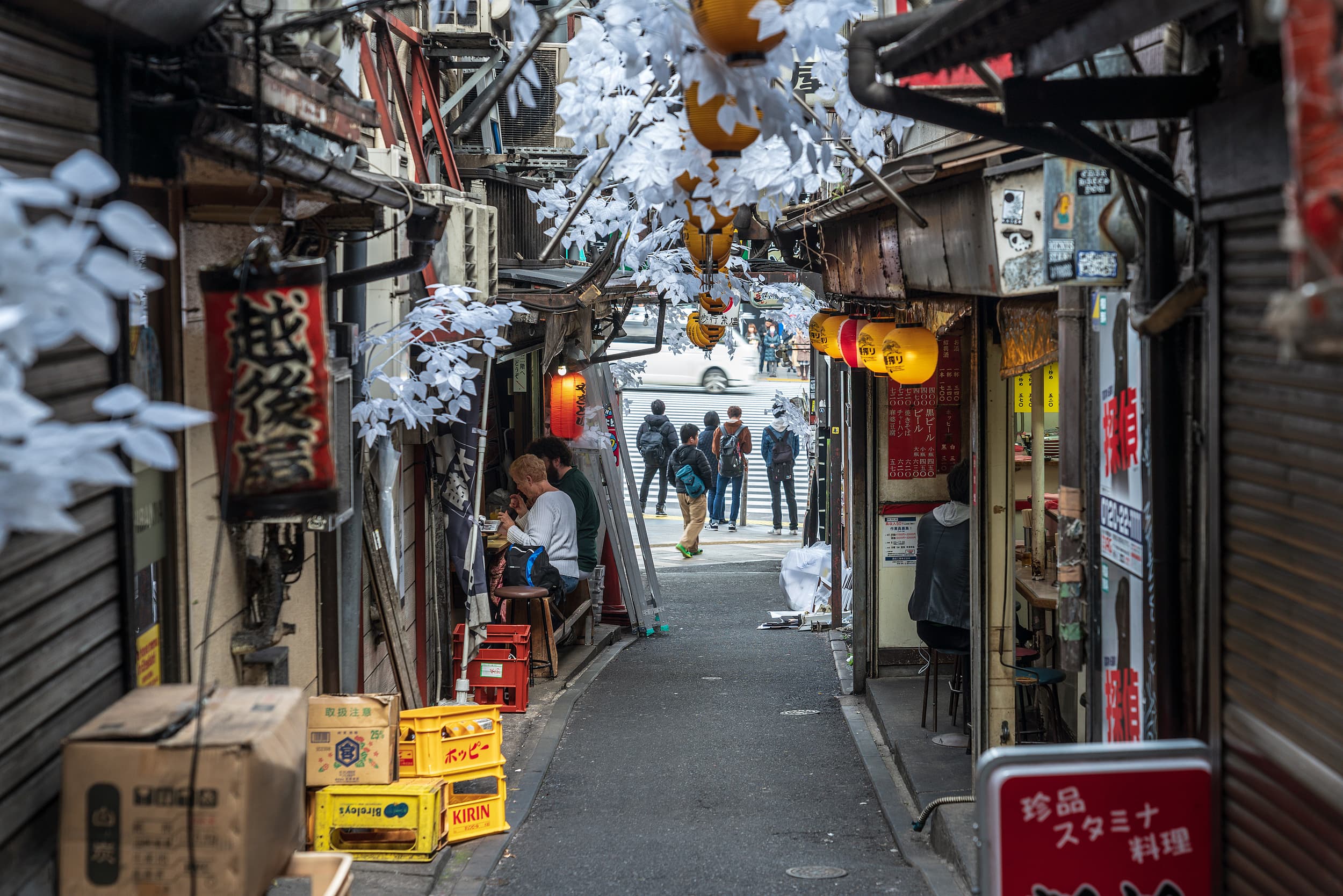 Omoide Yokocho Memory Lane cover image