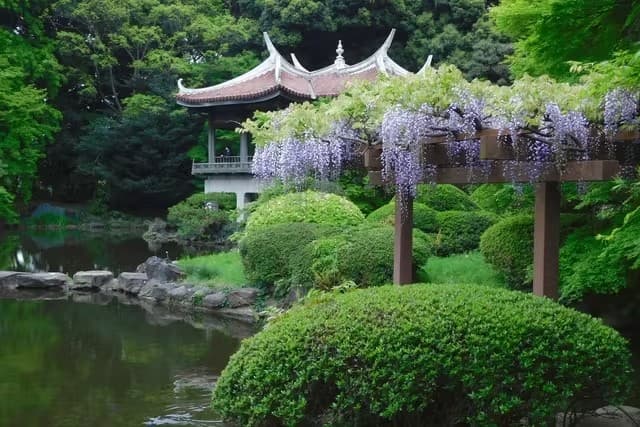 Shinjuku Gyoen National Garden