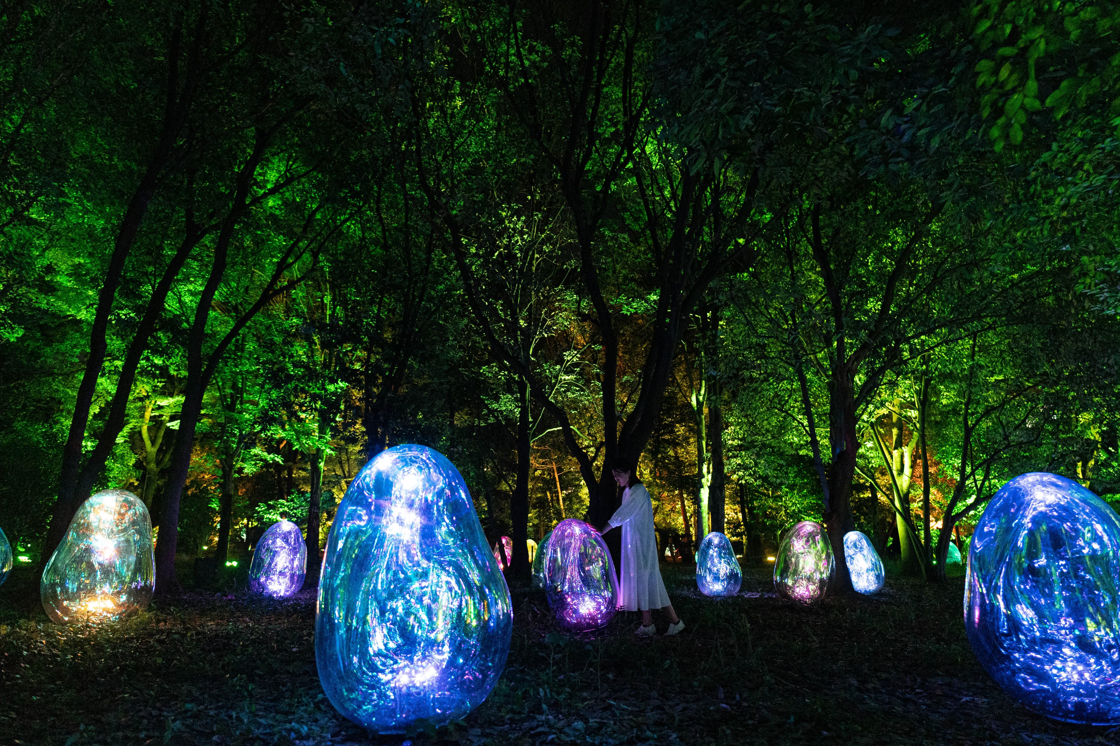 teamLab Botanical Garden Osaka cover image