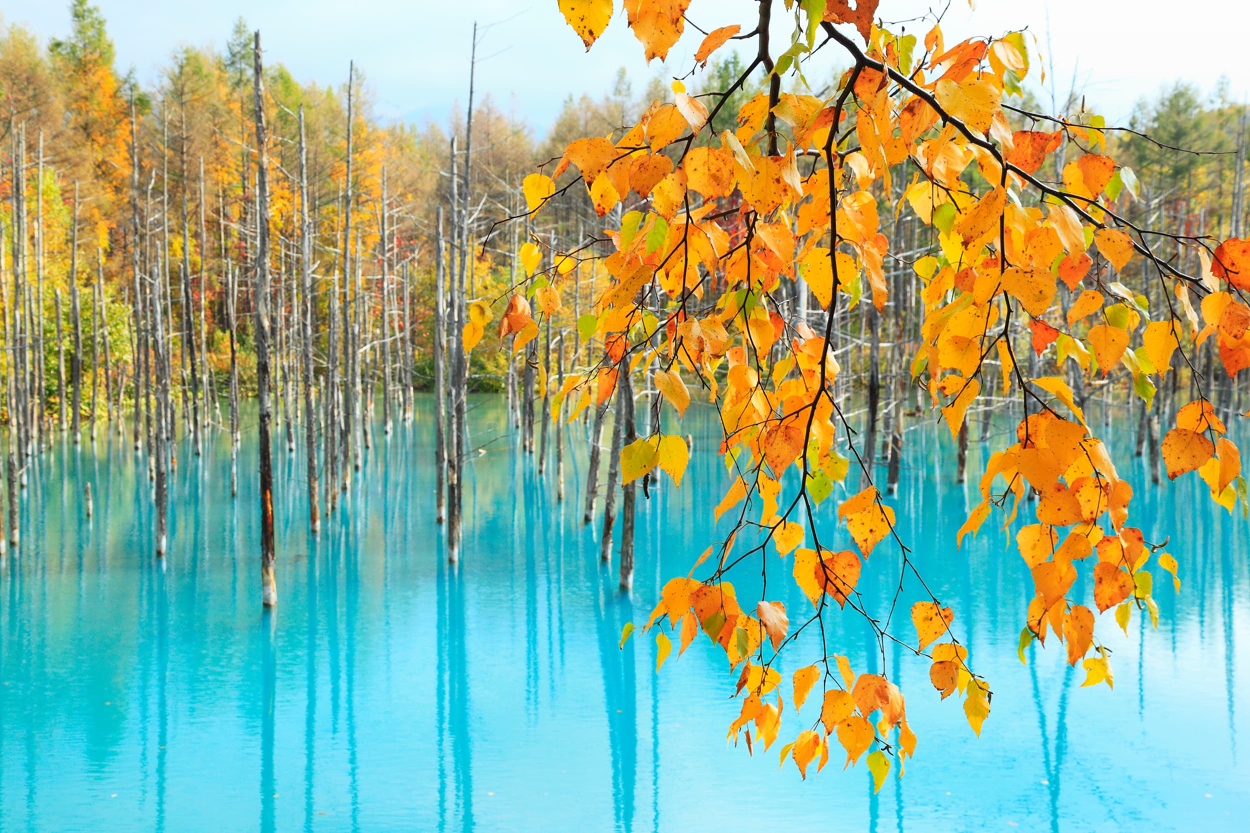 Shirogane Blue Pond (Aoiike)