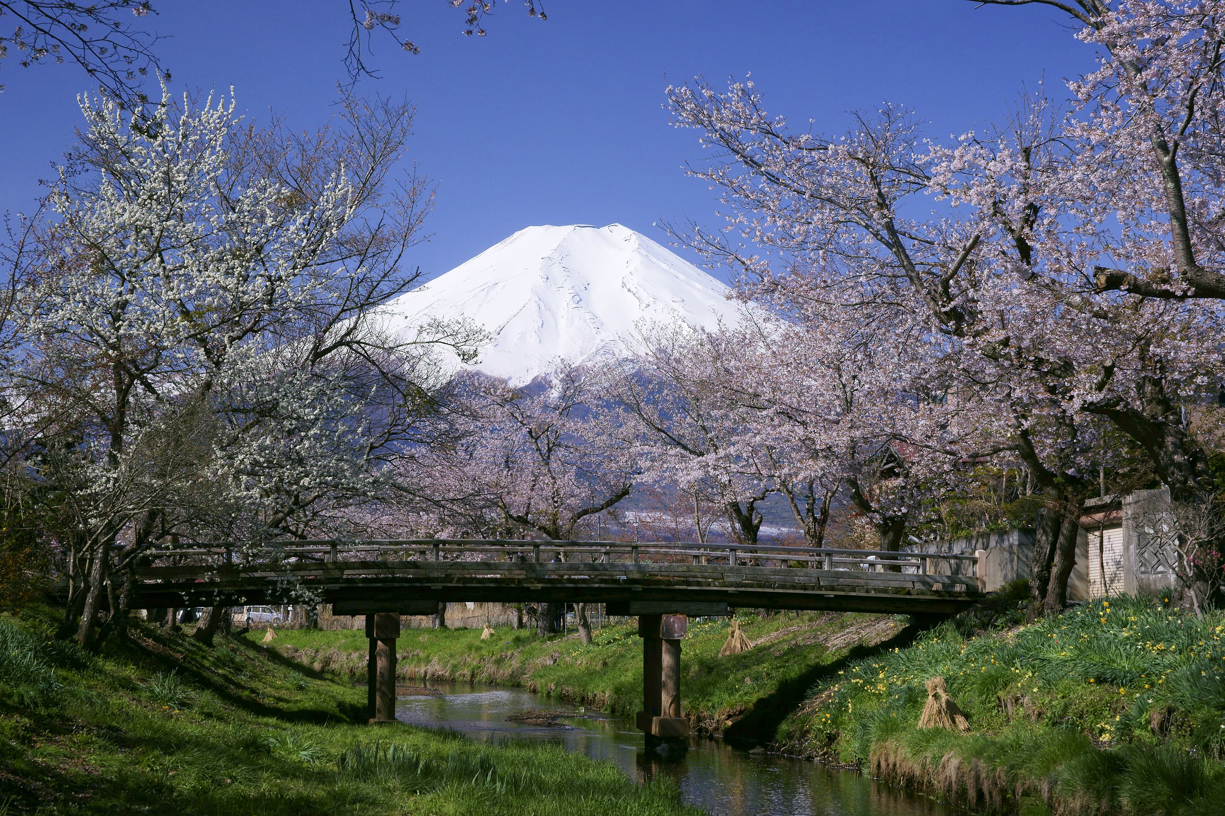 Oshino hakkai