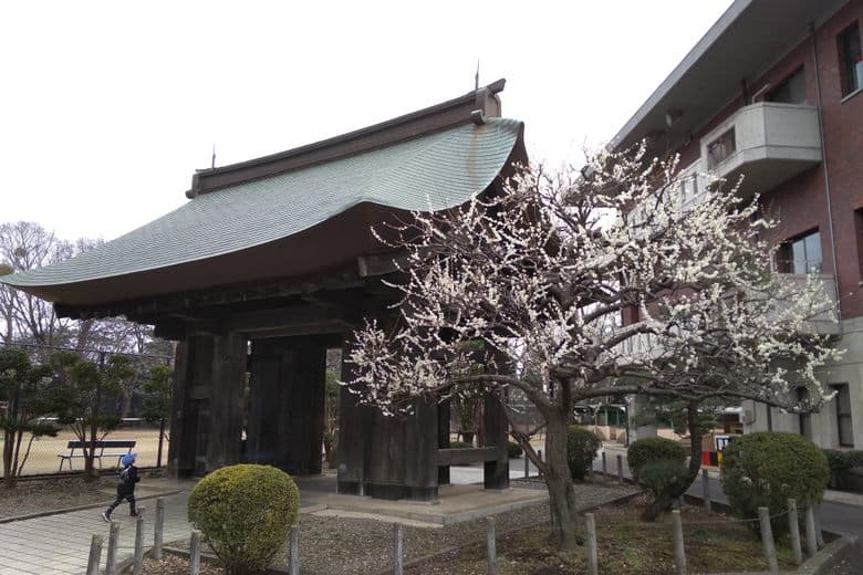 Mito Daiichi High School cover image