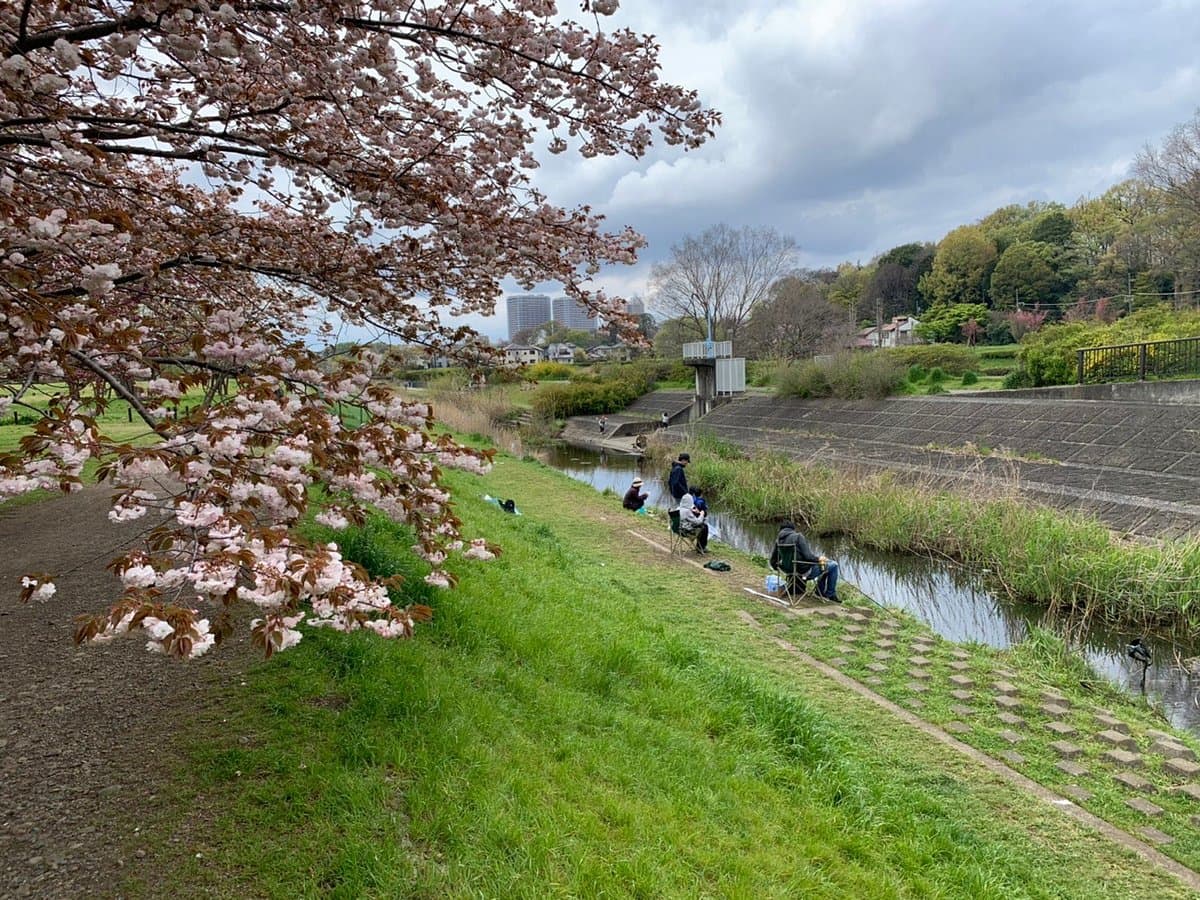 Nogawa Park cover image