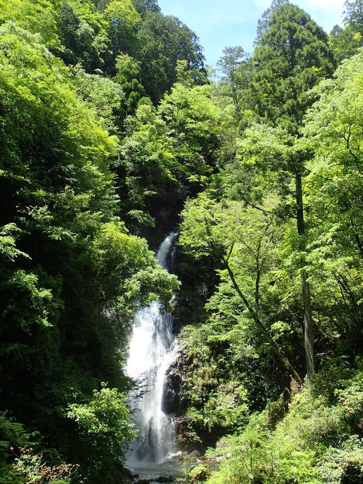 Hara Fudo Waterfall cover image