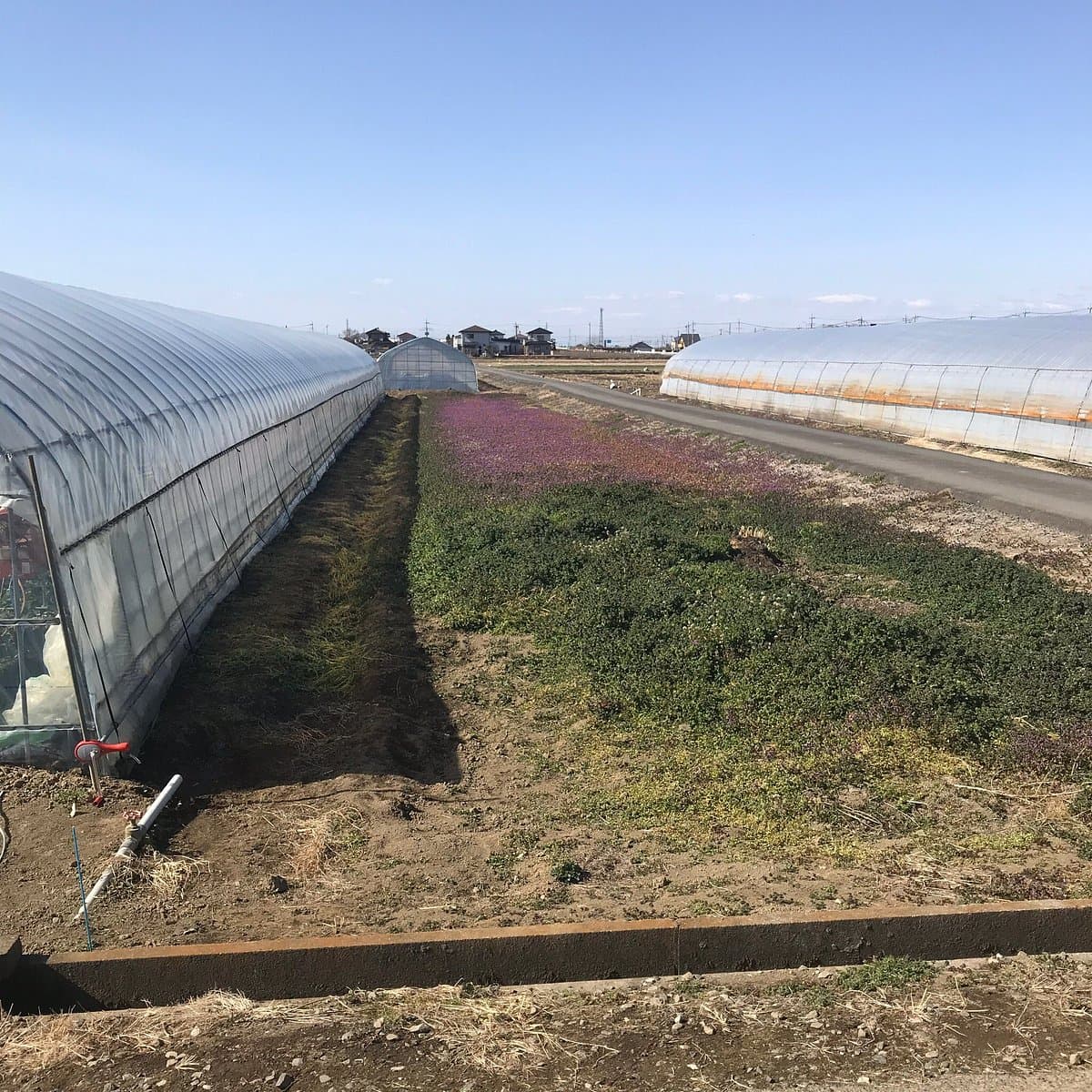 Sano Tourist Farm Agritown cover image