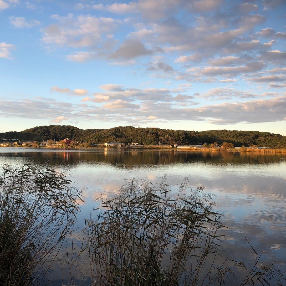 Kyotango Hanareko Park cover image