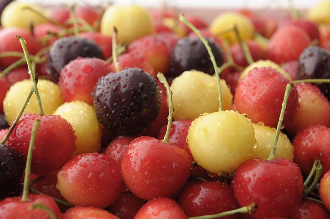 Ohashi Cherry Farm
