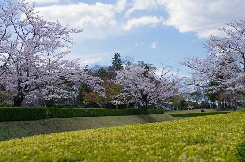 Sakura Castle Site Park