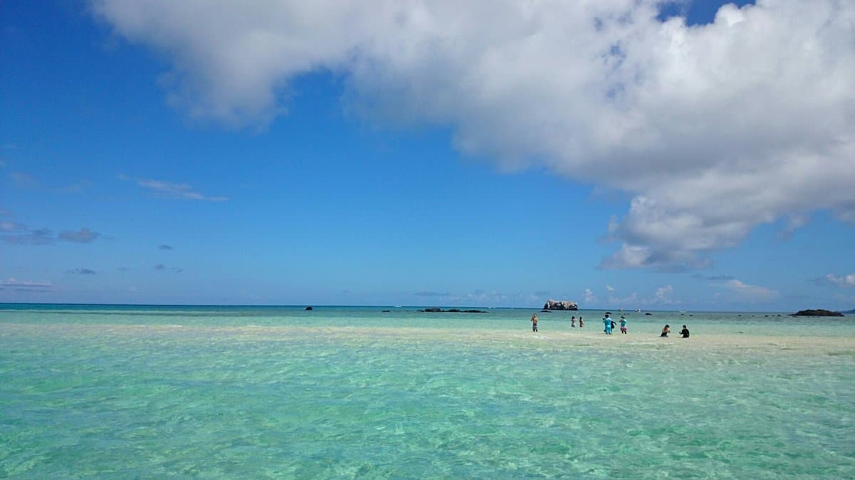 Hama-jima Island (The Phantom Island) cover image