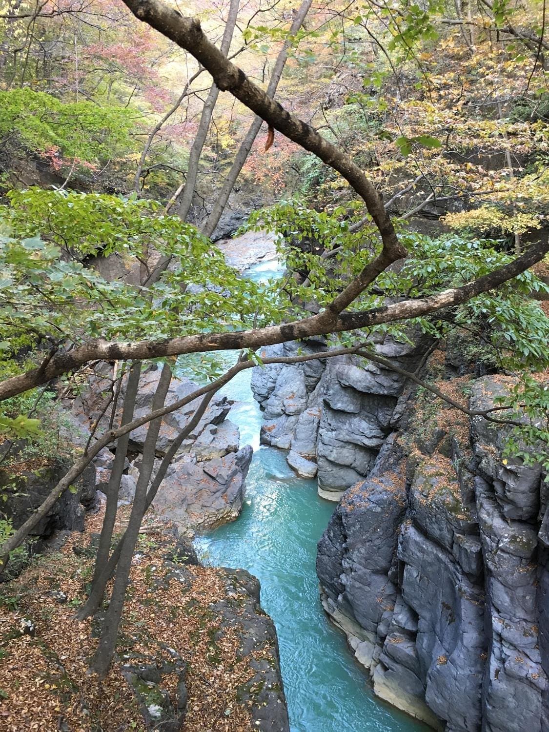 Agatsuma Canyon cover image