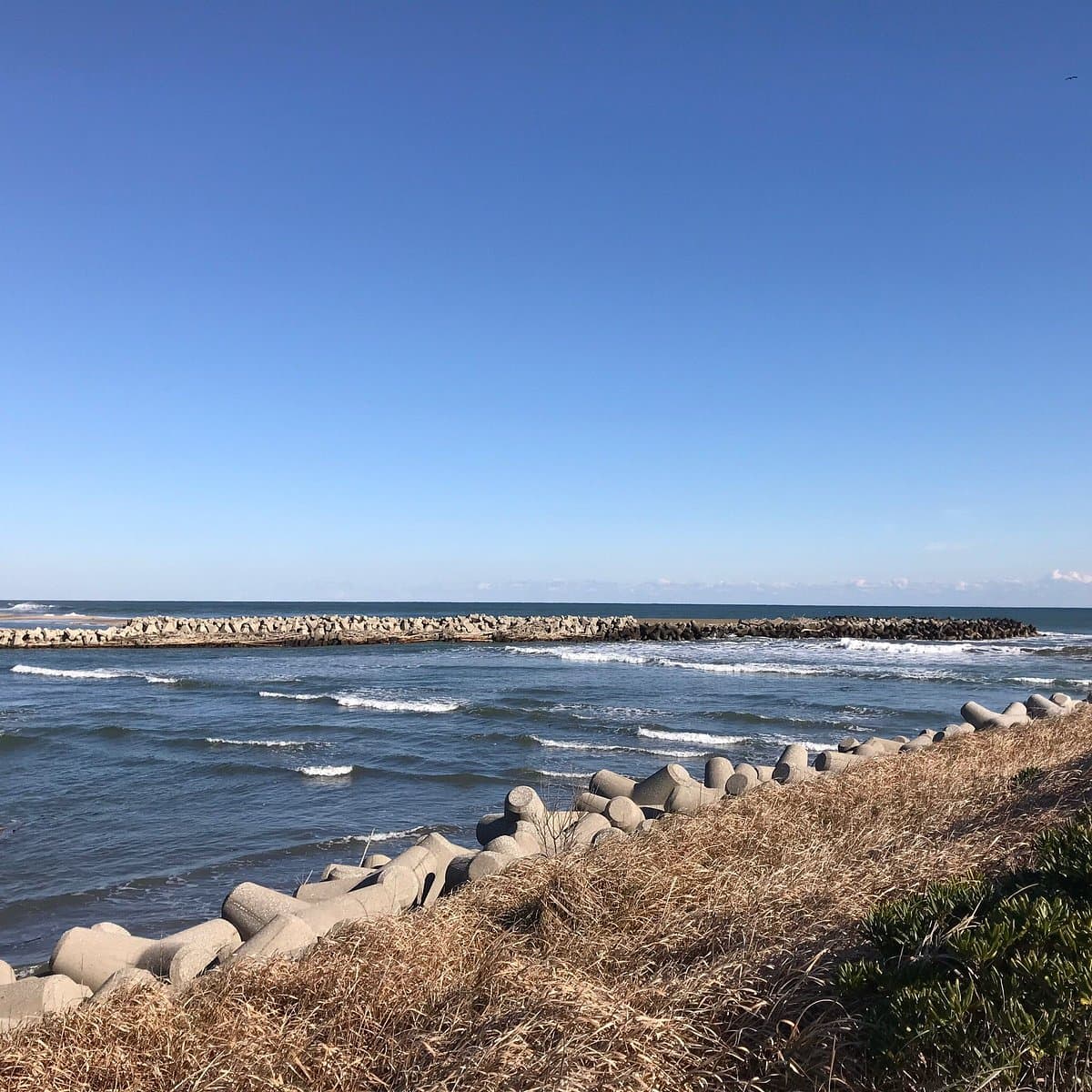 Isumi River Area cover image
