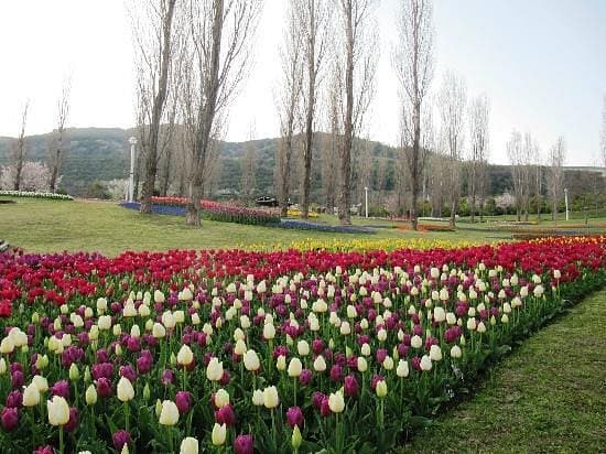 Akashi Kaikyo National Government Park