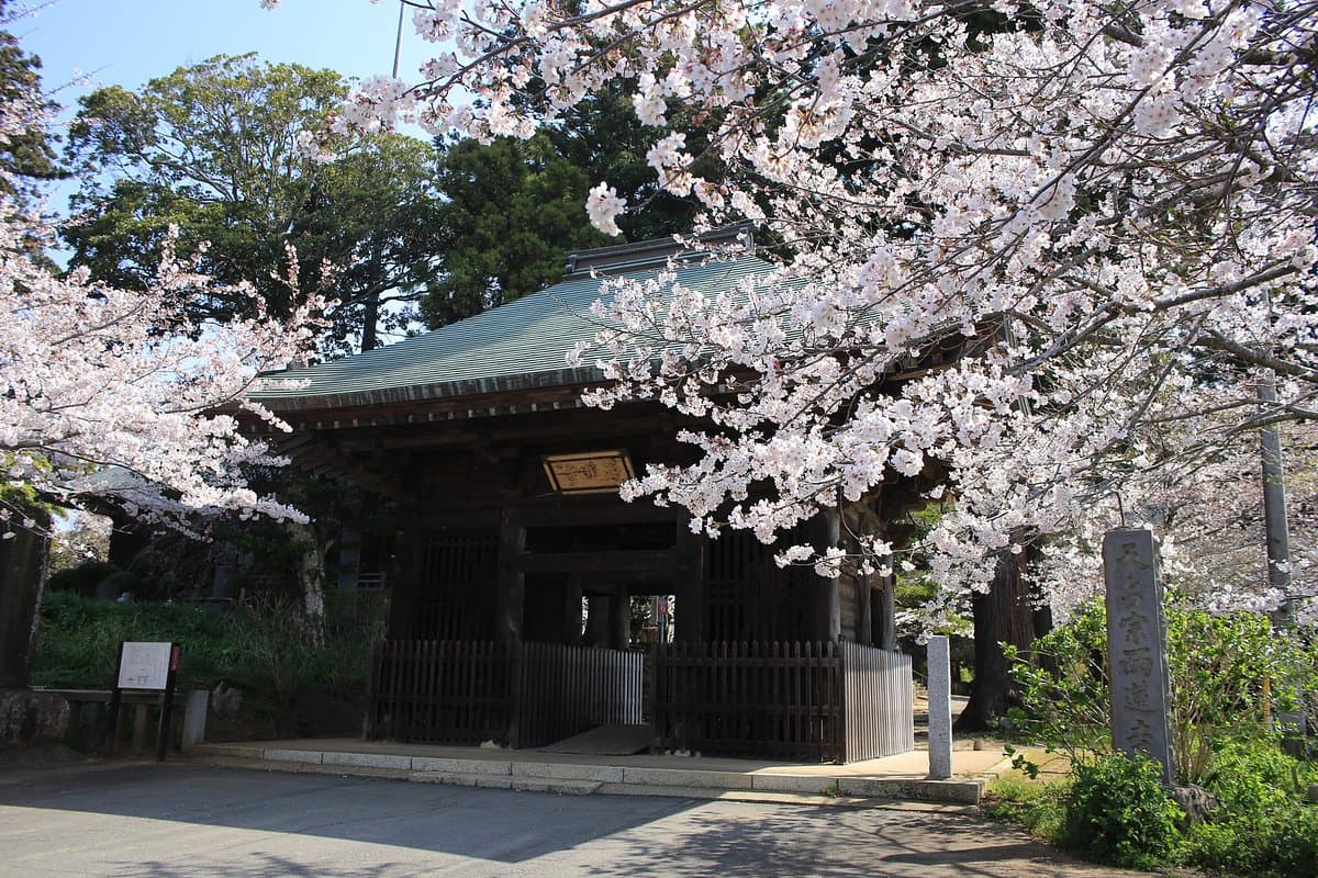 Sairen-ji Temple cover image