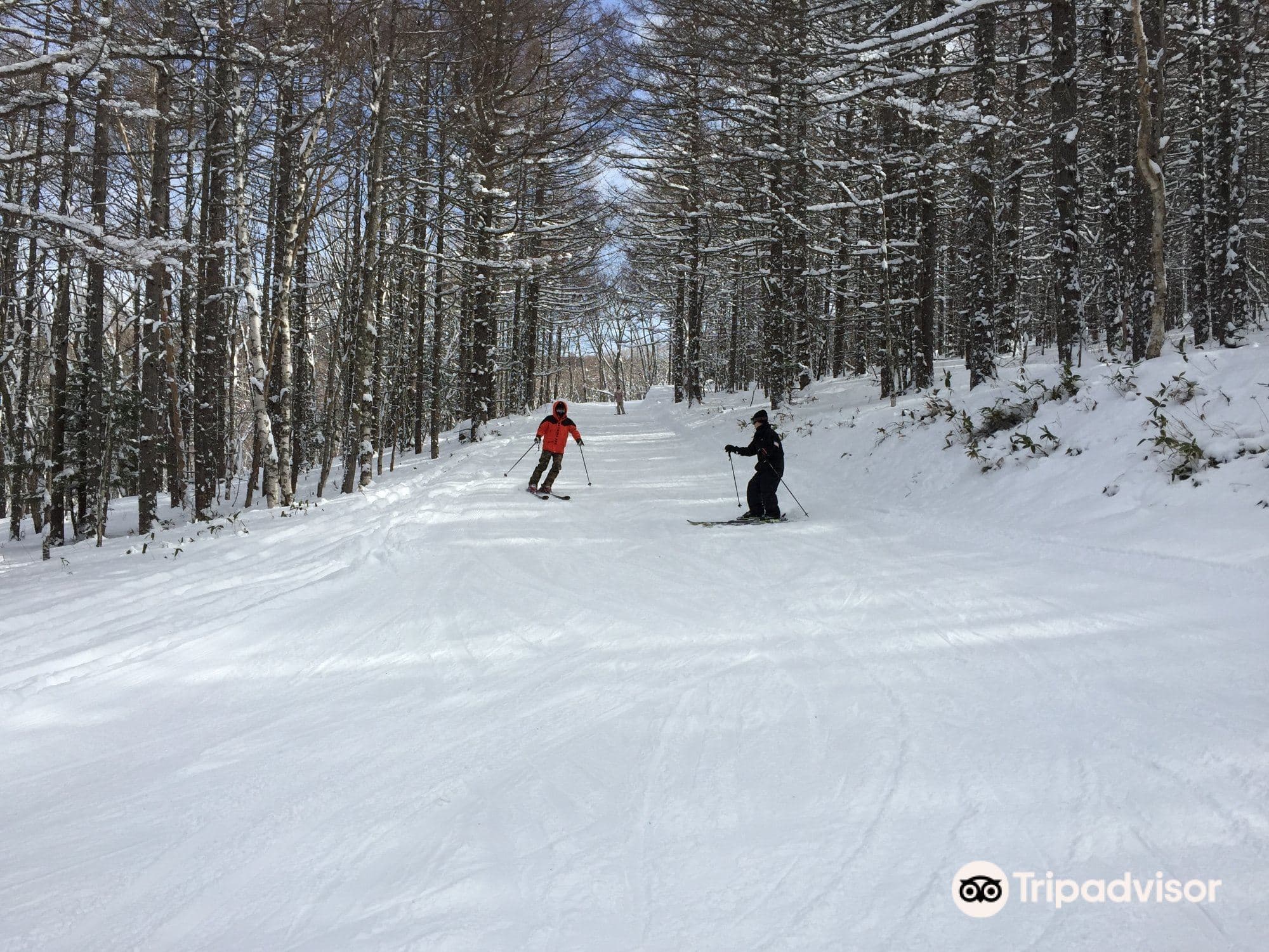 Shirakaba Kogen Kokusai