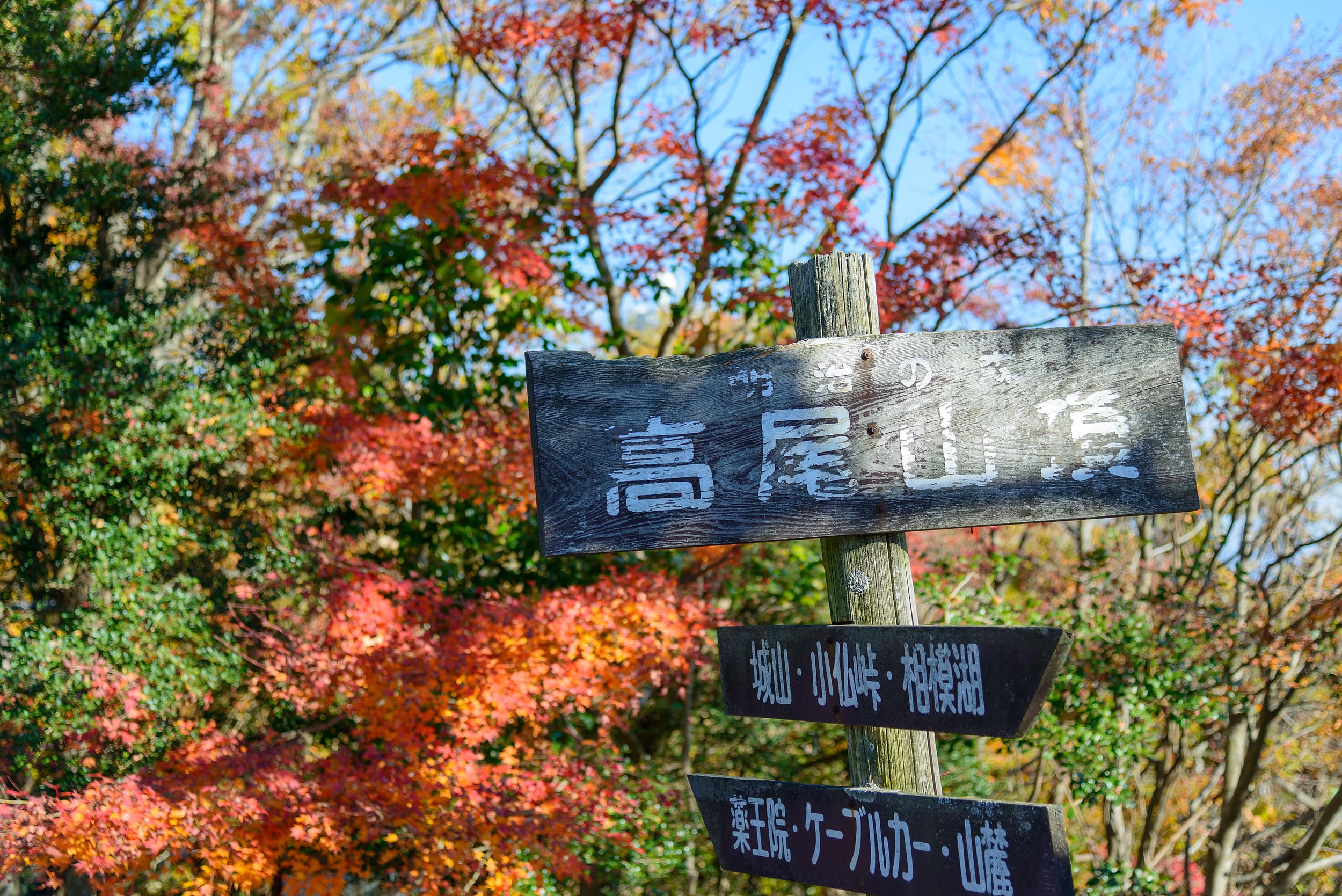 Mount Takao