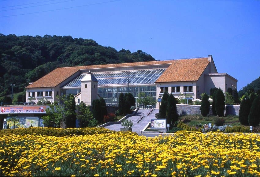 Awaji Highway Oasis cover image