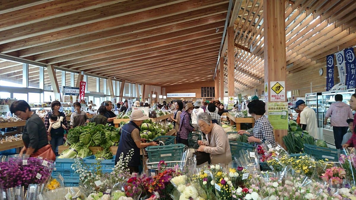 Michi-no-Eki Healthy Terrace Sakuminami cover image