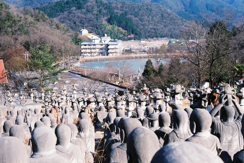 Taiyo Park cover image