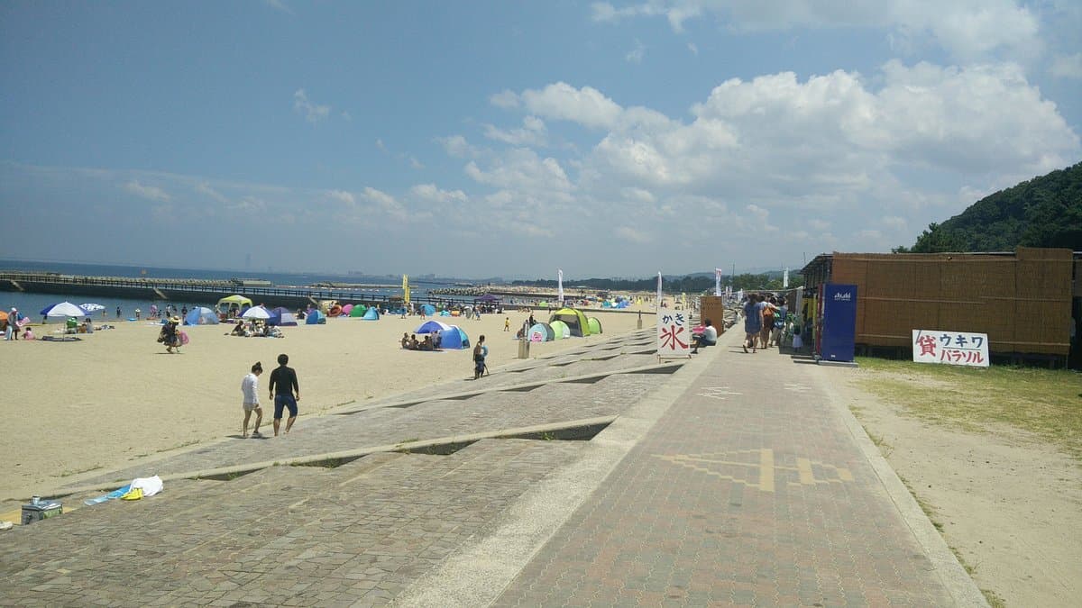 Tannowa Beach cover image