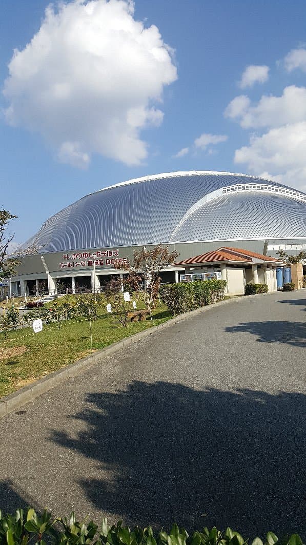 Kariyushi Hotels Ballpark Ginoza cover image