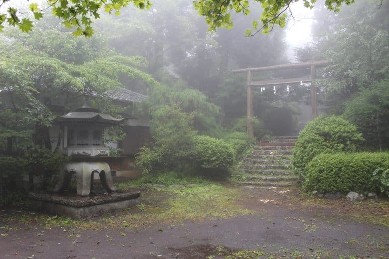 Tenshou-Kyousha Shrine Mermaid Mummy cover image