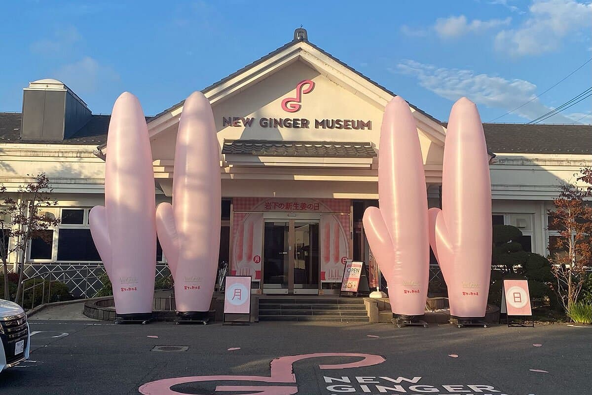 New Ginger Museum cover image