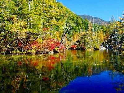 Myojin Pond cover image