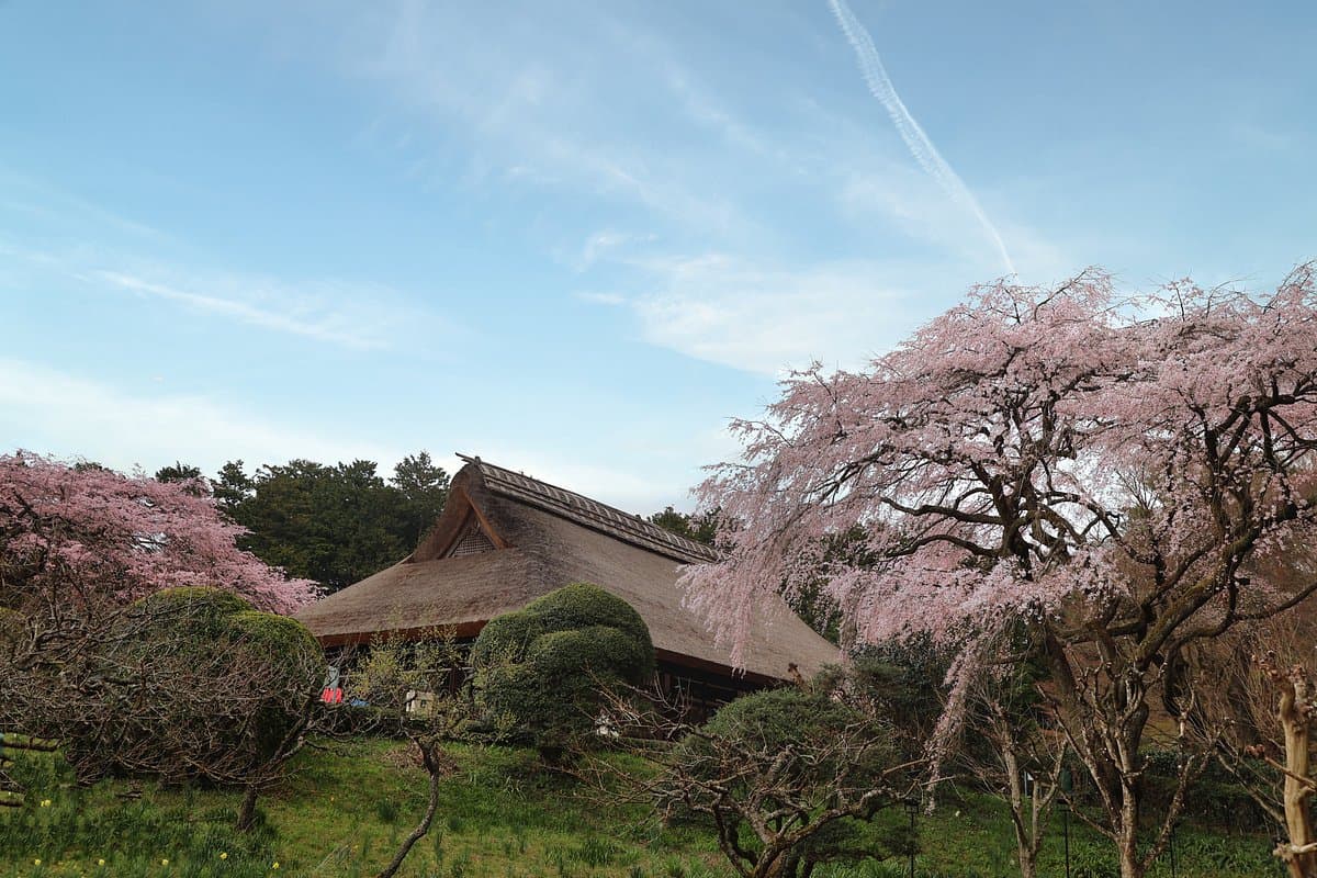 Chichibunomiya Memorial Park