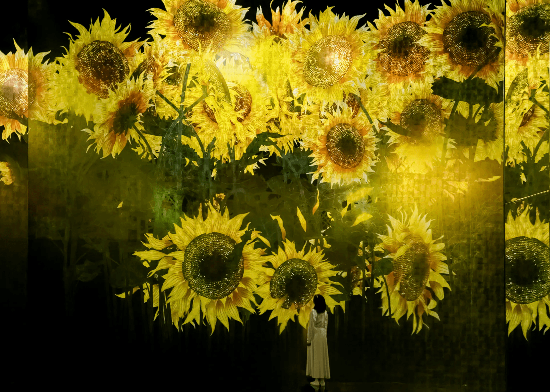 teamLab Biovortex Kyoto cover image