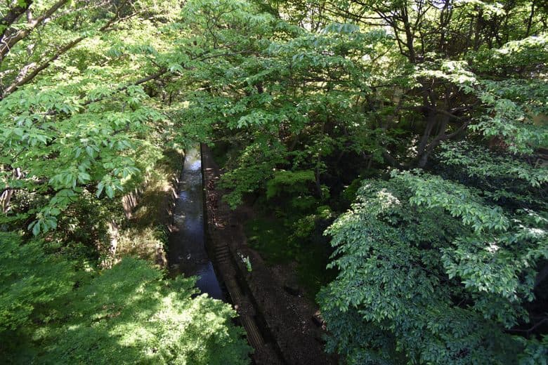 Todoroki Valley