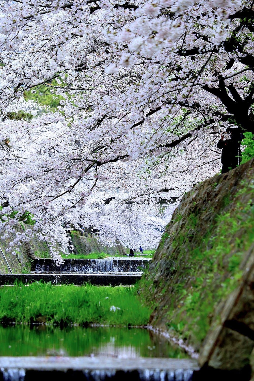 Shukugawa Park