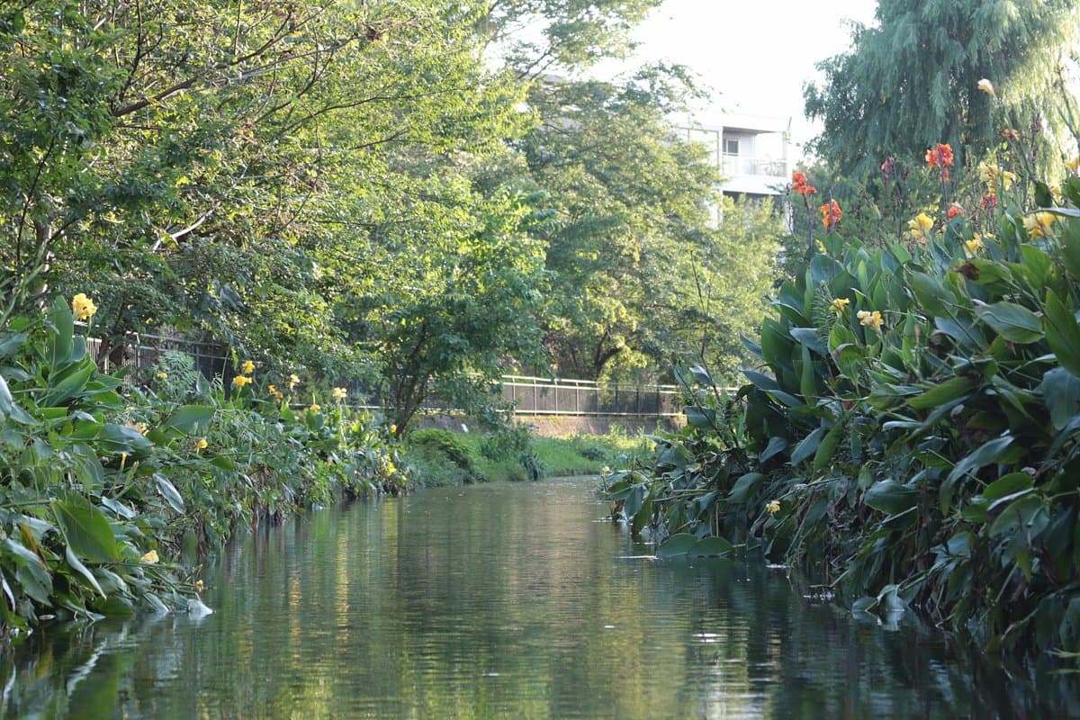 Ochiai River and Minamisawa Springs cover image