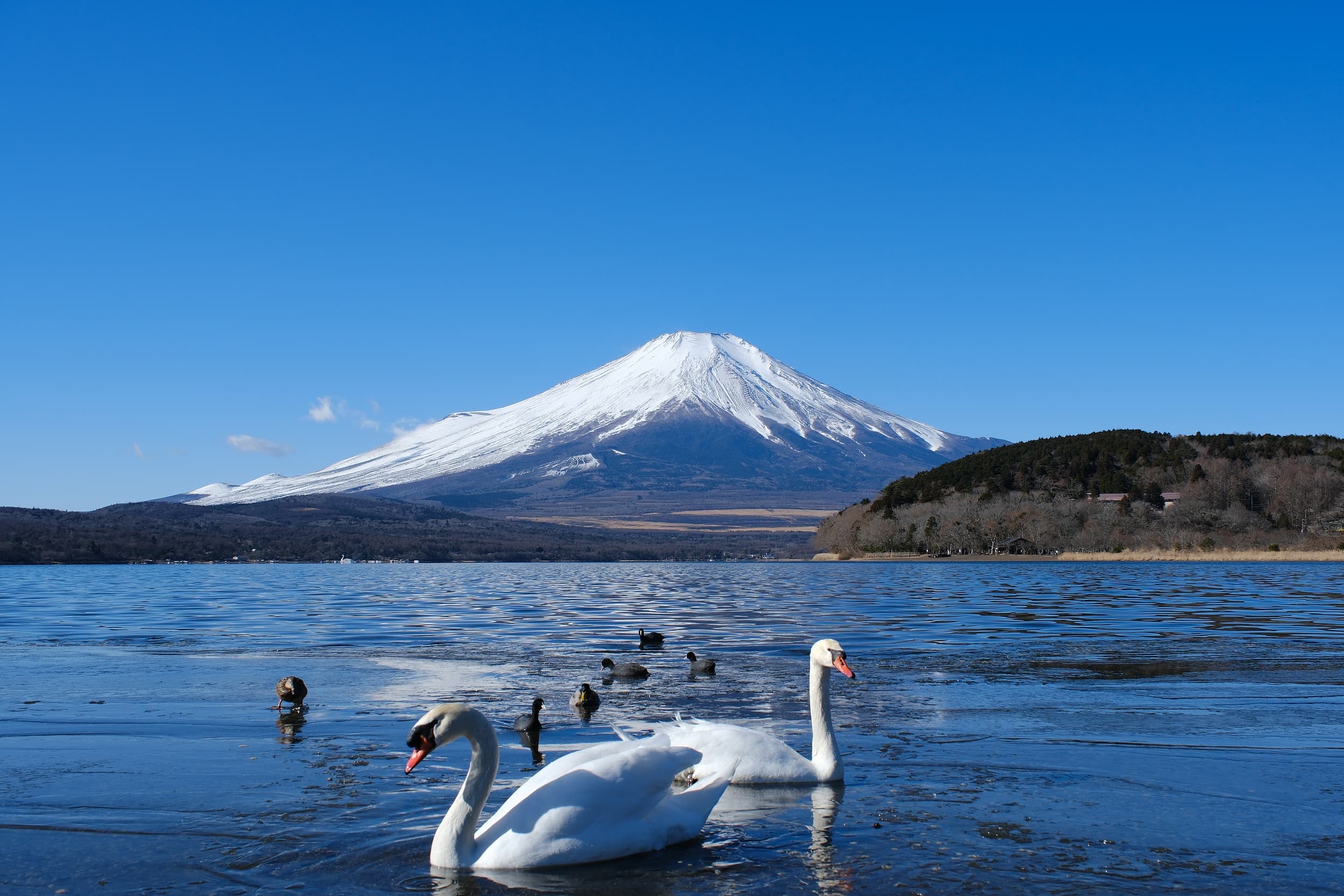 Hirano beach cover image