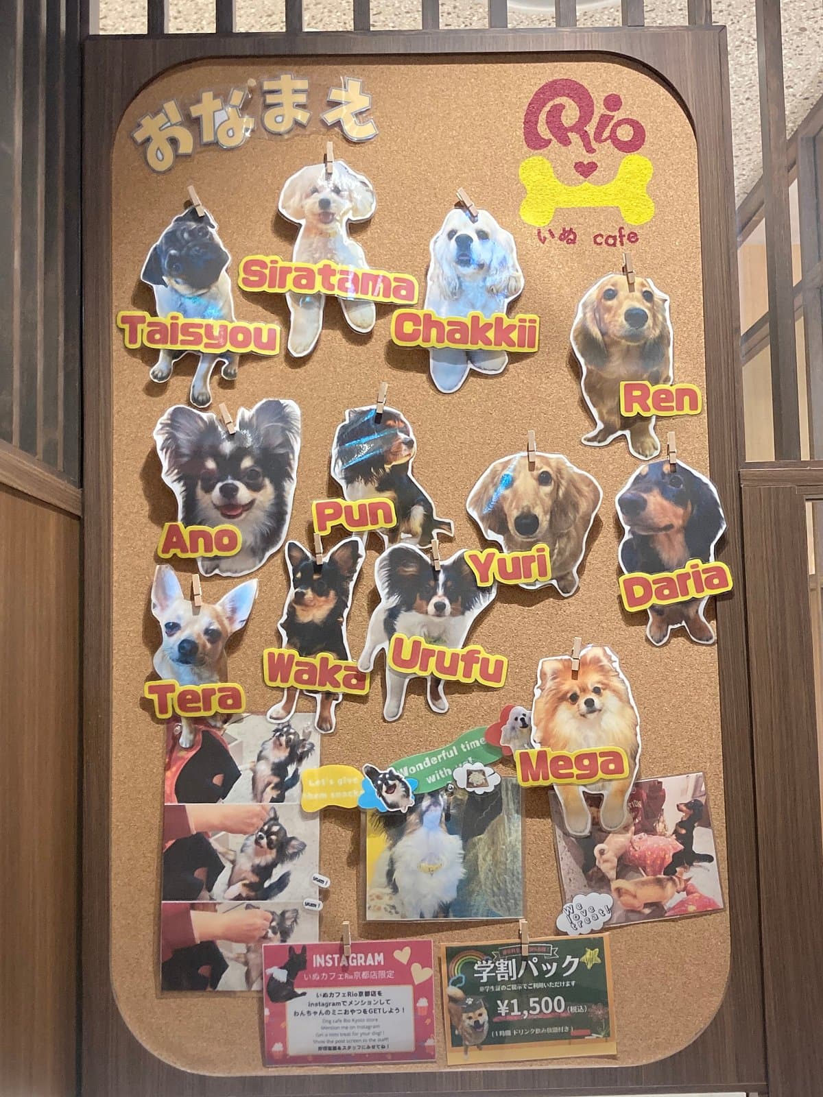 Puppy Cafe Rio Kyoto
