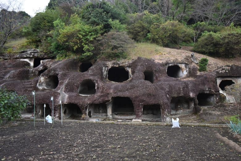 Nagaoka Hyakuana Burial Mound cover image
