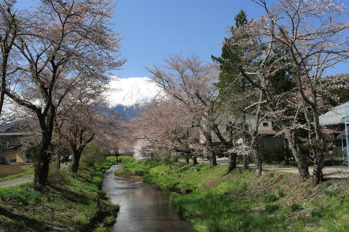 Oshino Omiya Bridge