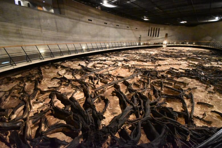 Tomizawa Site (Underground Forest Museum) cover image