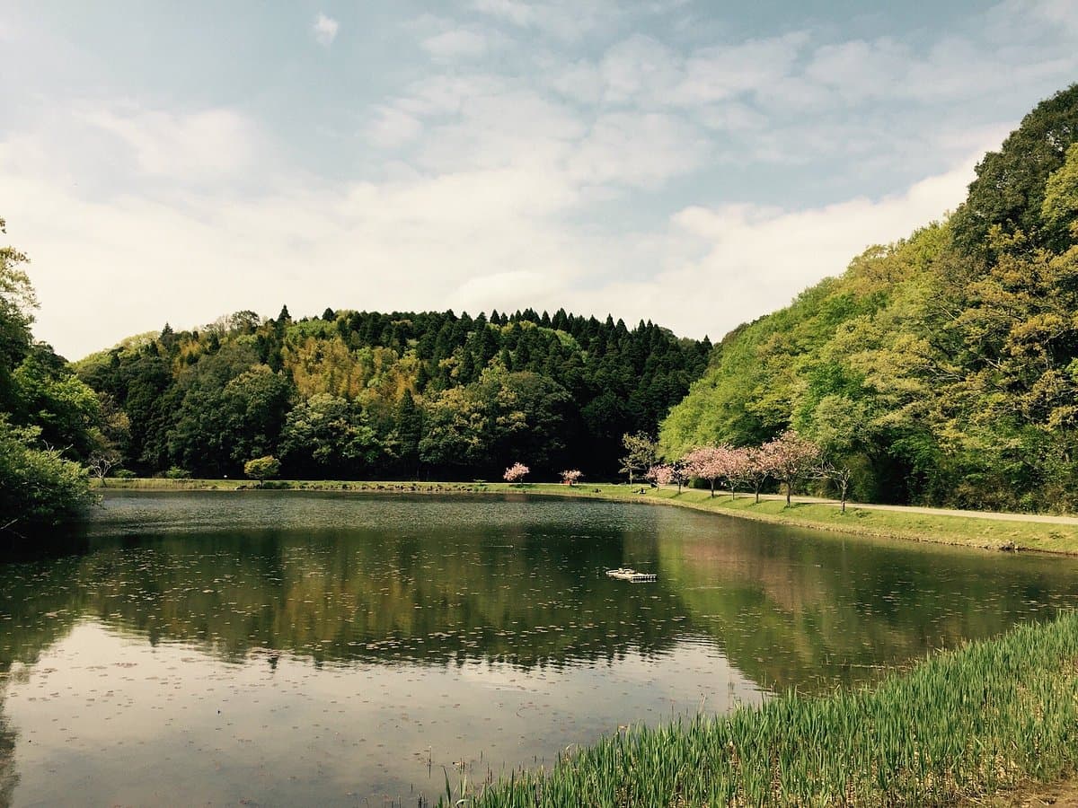 Showa no Mori Park cover image