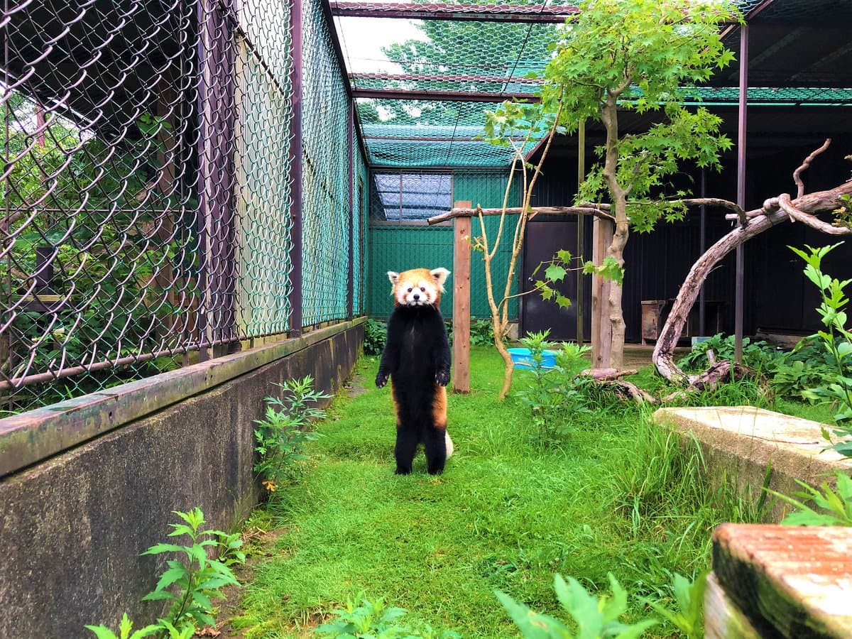 Tohoku Safari Park